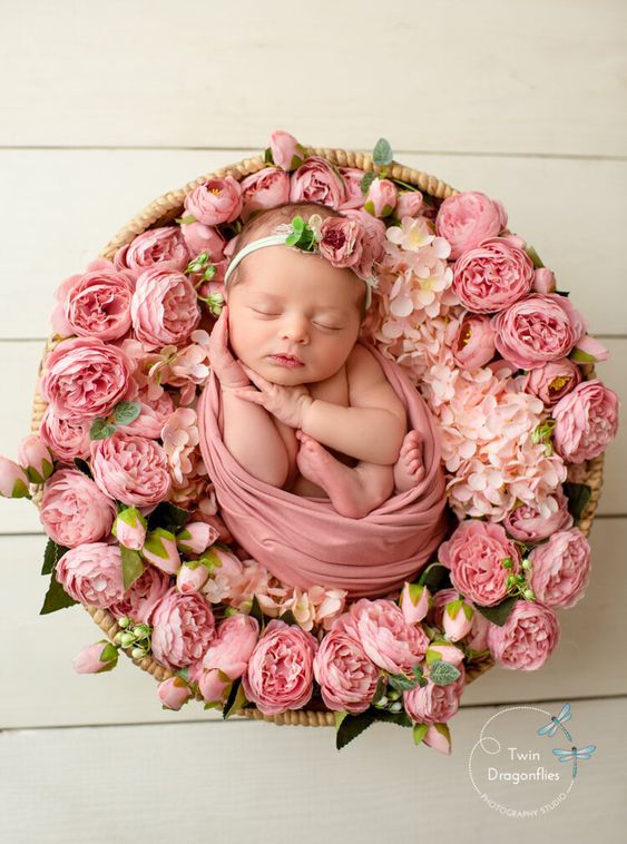 ensaio newborn menina rosas