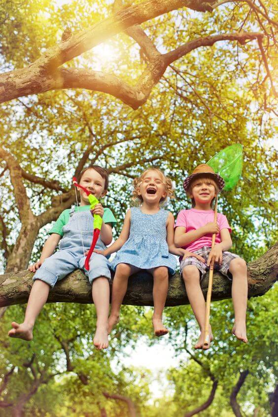 tres crianças em cima de uma árvore