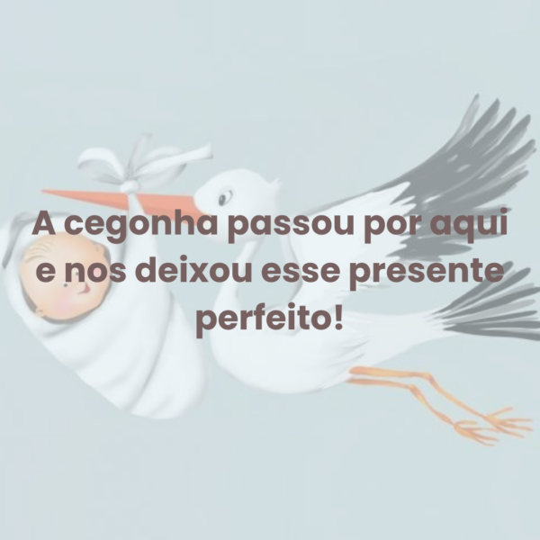 frase lembrancinha maternidade cegonha