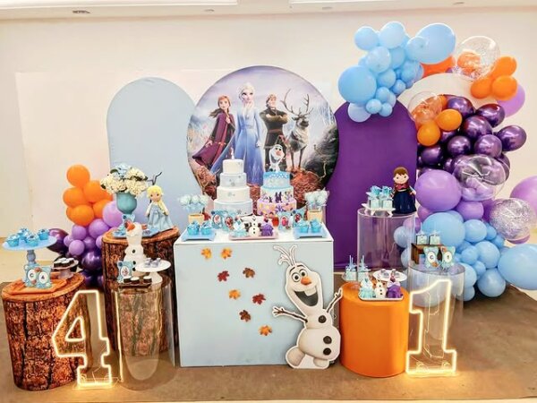 aniversário de gêmeos frozen