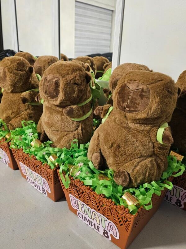 ideia festa capivara