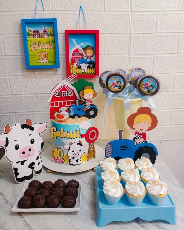 decoração mesversário fazendinha